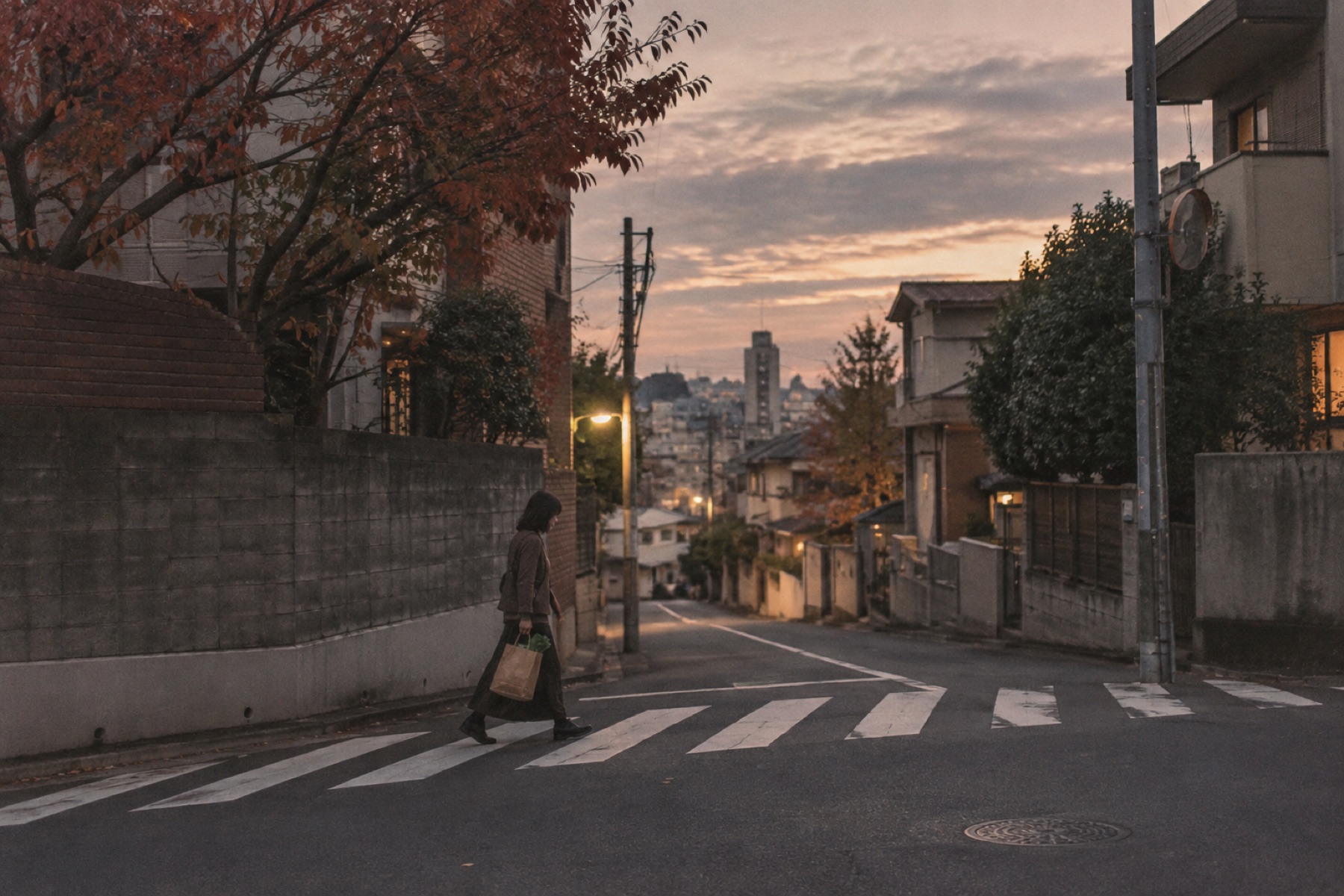 A quiet Tokyo street at dusk